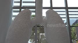 70,000 face masks shaped like human lungs to warn about air pollution in Thailand