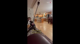 2-year-old uses a sensory swing to see if he has the flair to become a future gymnast