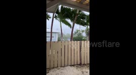 Cayman Islands: Trees bend in strong winds as Hurricane Ian passes over
