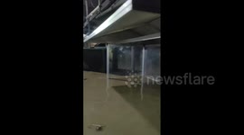 Market left underwater as Typhoon Noru submerges town in the Philippines