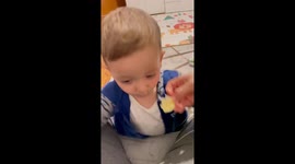 Baby eating lemon