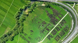 Art Paddy Field For the 20th National Congress of the Communist Party in Hechi, China