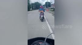 Cool pet dog balances on back of moving motorcycle