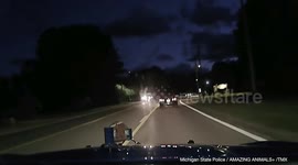 Dashcam footage captures deer leaping over moving vehicle on road in Michigan