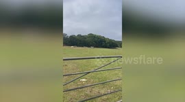 Boy, 9, killed and young girl badly hurt as 4×4 rolls over on off-road adventure course
