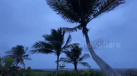 Palm trees sway in wind as Florida braces itself for Hurricane Ian