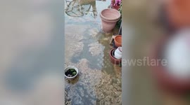 Grieving mum left heartbroken after raw sewage flooded her home and destroyed her dead daughter’s memorial garden