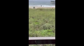 A small boat of Cuban Immigrants crashed on the beach in Pompano Beach, FL, 20 feet north of the pier when Hurricane Ian was starting to make landfall on South Florida