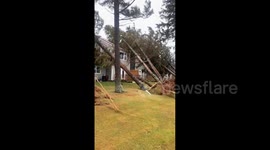 Storm Fiona slams Canada, uproots several massive trees