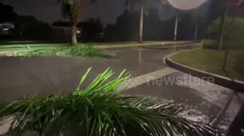 Palm tree branches scattered as Hurricane Ian approaches Florida