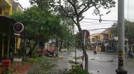 Typhoon Noru: Downed trees and flooded streets in Vietnam