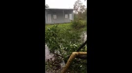 Trees snapped and roofs ripped off as Typhoon Noru tears across Vietnam