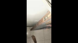 'Spider-RAT' looks petrified as it poises between door and wall