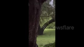 Weather conditions in Sarasota, FL, USA during Hurricane Ian