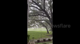 Trees bend to strong winds as Hurricane Ian hits Sarasota, FL, USA