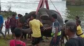 Elephant drowns after crushed 2 people to death in eastern India