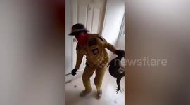 Monitor lizard caught rampaging through apartment in Thailand