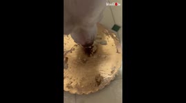 'Tippy Taps' - Cute dog starts tap dancing after getting surprised with a food puzzle
