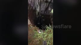 Indian firefighters carry out night rescue operation to save cow that fell into well