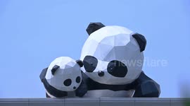 Cute Giant Panda Sculpture On The Edge Of The Roof In Nanning, China