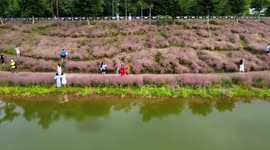 Tourism Trend During National Day in Nanning, Guangxi, China