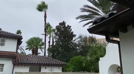 Hurricane Ian brings strong winds to Orlando, FL, USA