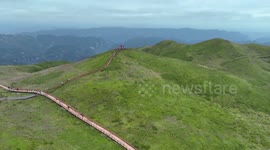 Drone Footage Of The World's Largest Wild Leek Flower Belt In Bijie, China