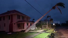 Palm tree goes fully diagonal in Florida after Hurricane Ian's landfall
