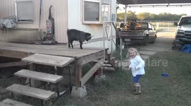 I'll goat after you! Hilarious goat imitates little girl