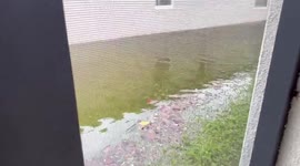 Streets flooded by Hurricane Ian in Orlando, USA