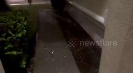 Hurricane Ian hits Orlando, USA