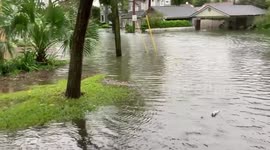 US: Ian Batters East Central Florida, Flooding And Power Outages Hit 5