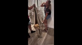 When the dog won’t let you cut his nails, you try anything!