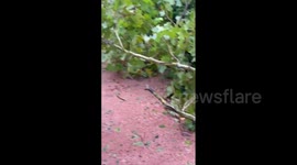 US: At Least 12 Dead, Hurricane Ian Leaves Significant Damage In Florida