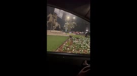 The cat sits funny as if very tired on the traffic ring!