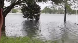 Pair of ducks seen swimming in flooded Orlando backyard after Hurricane Ian