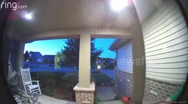 Doorbell cam captures emotional moment cat owner is reunited with lost pet