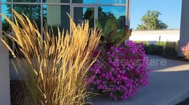 A breathtaking sight of natural beauty with beautiful flowers and plants