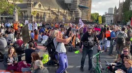 Climate activists occupy Westminster
