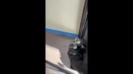 ASMR tape peel on a two tone wall paint job. Oddly satisfying tape pull off reveals super crisp line on two tone wall