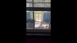 Sunbathing cat is caught in the act relaxing on the front porch