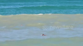 US: Surfers Rescued From Rough Surf Combined With King Tide In Florida After Hurricane Ian