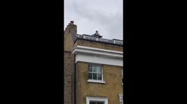 London Marathon trumpeter 2