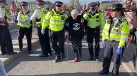 Police move elderly Just Stop Oil protester blocking Waterloo Bridge