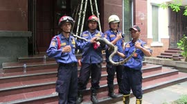 Firefighters remove 4-metre-long python from attic of resident's home in Indonesia