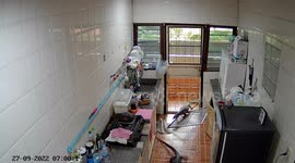 Two huge monitor lizards ram-raid family's kitchen in search of food while father makes lunch