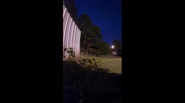 Plants Begin To Move Around And Come Alive When People Are Fast Asleep