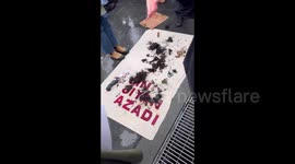 People cut their hair at rally in solidarity with Iranian protesters in New York