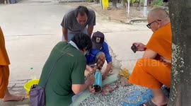 Monks rescue hapless puppy with head stuck in plastic pipe while scavenging for food