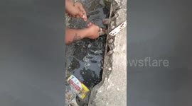 Stray puppy rescued after falling into filthy drain in the Philippines
